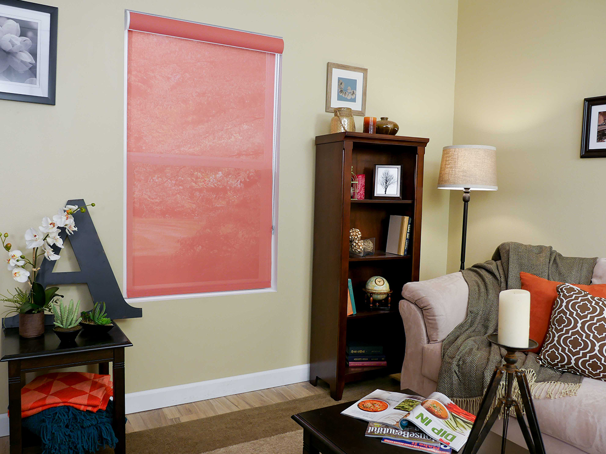 roller shades in a living room
