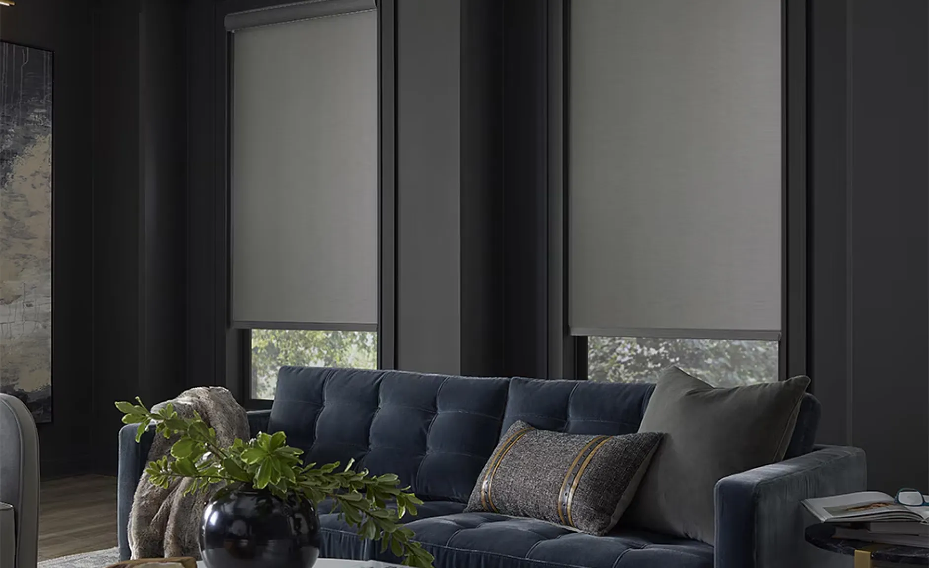 Roller shades on windows