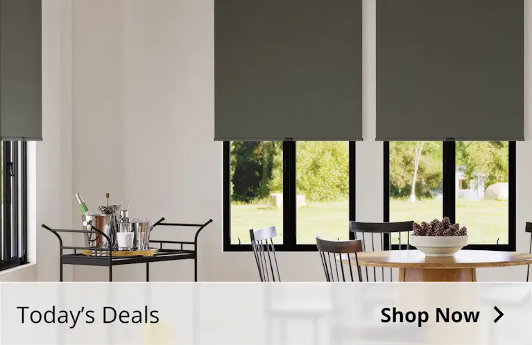 Today's Deals