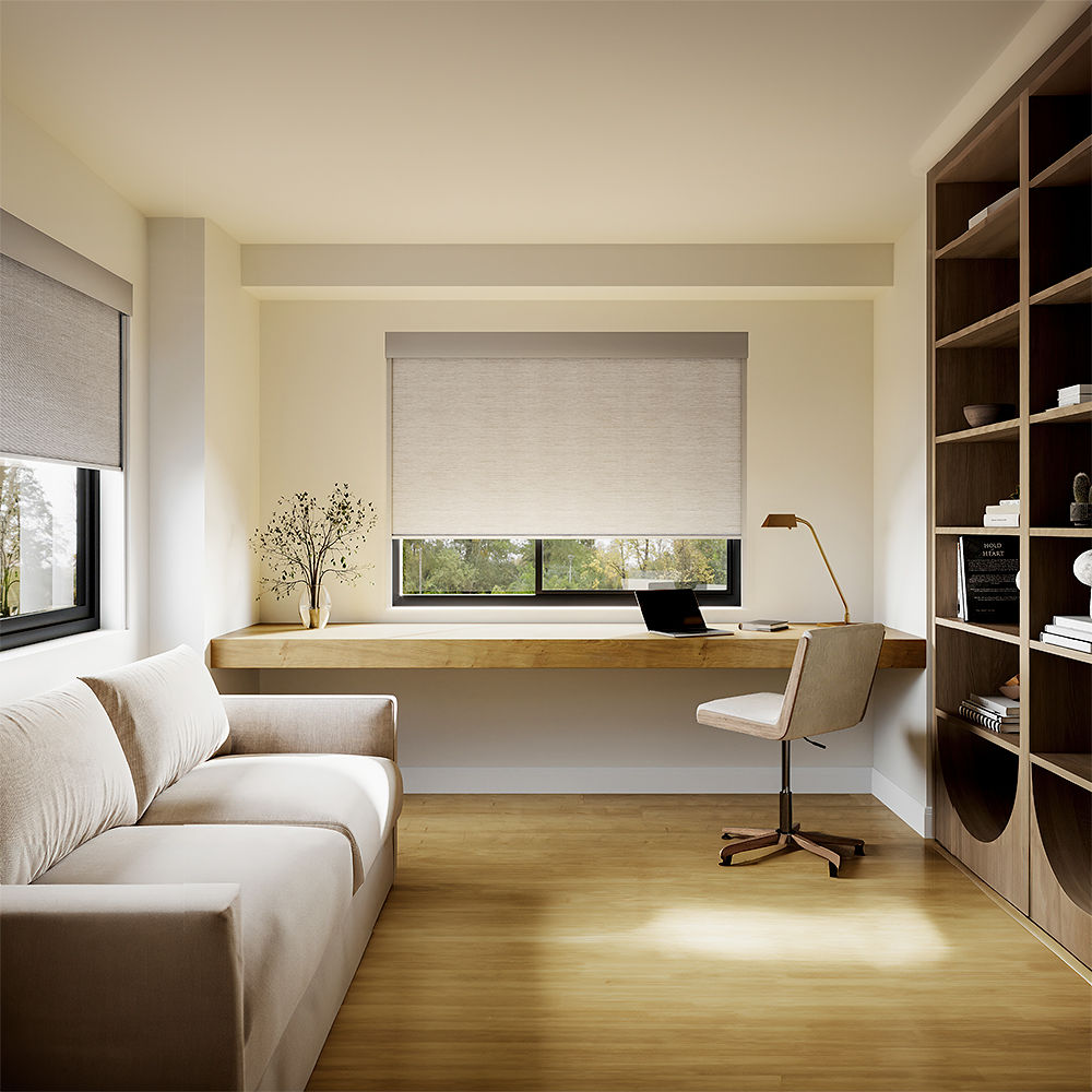 Roller Shade on window