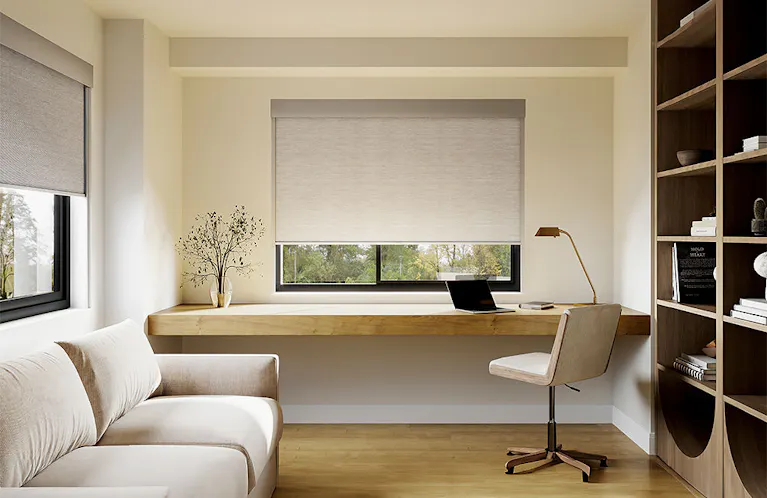 Roller Shade on window