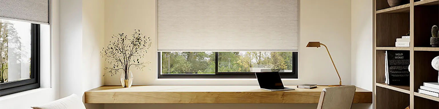 Roller Shade on window