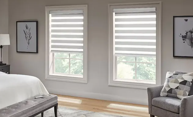 Zebra shades on windows