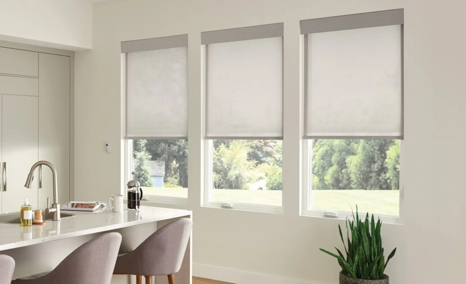 Roller shades on windows