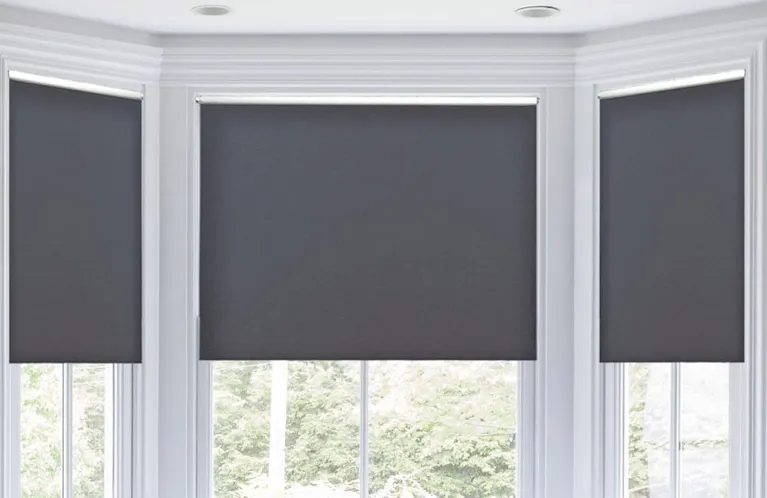 Black shades in a bay window with white frames
