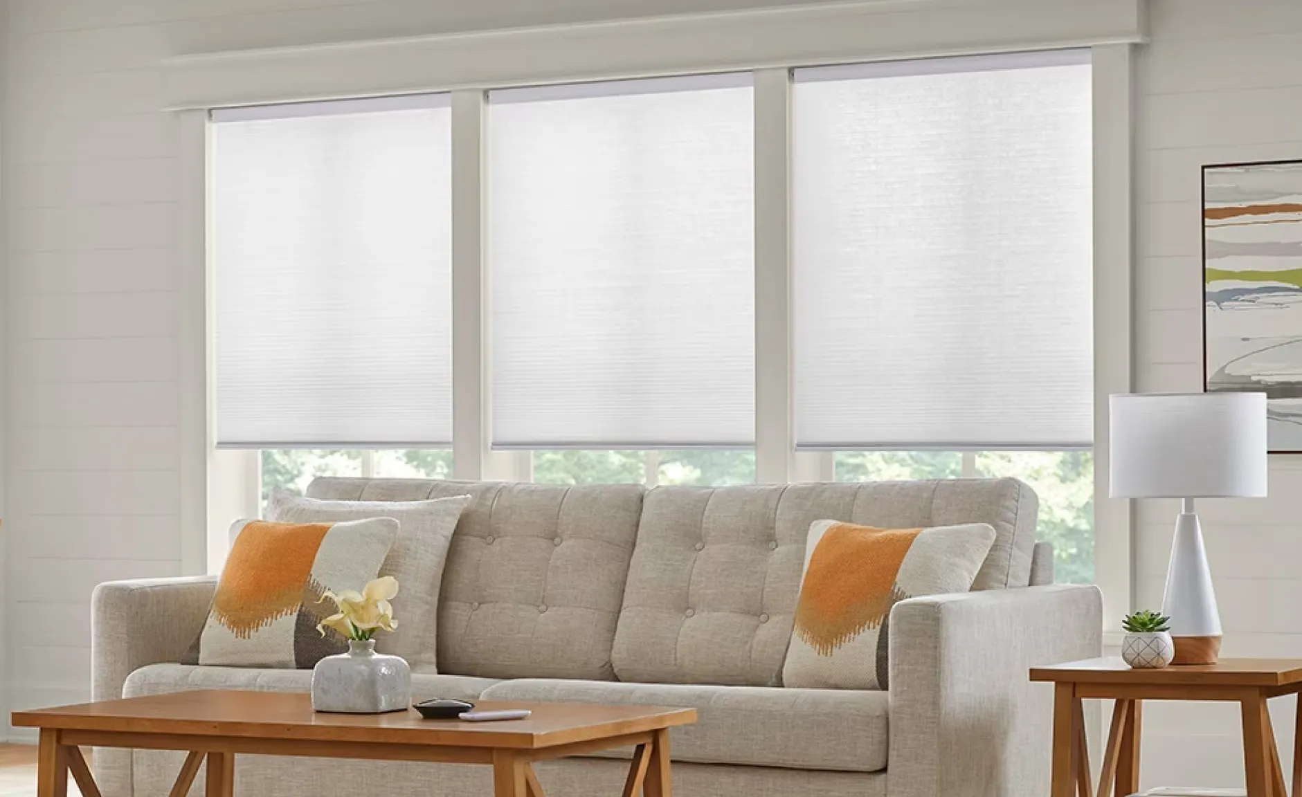 Roller shades on windows
