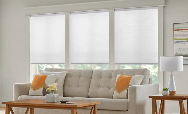 Roller shades on windows
