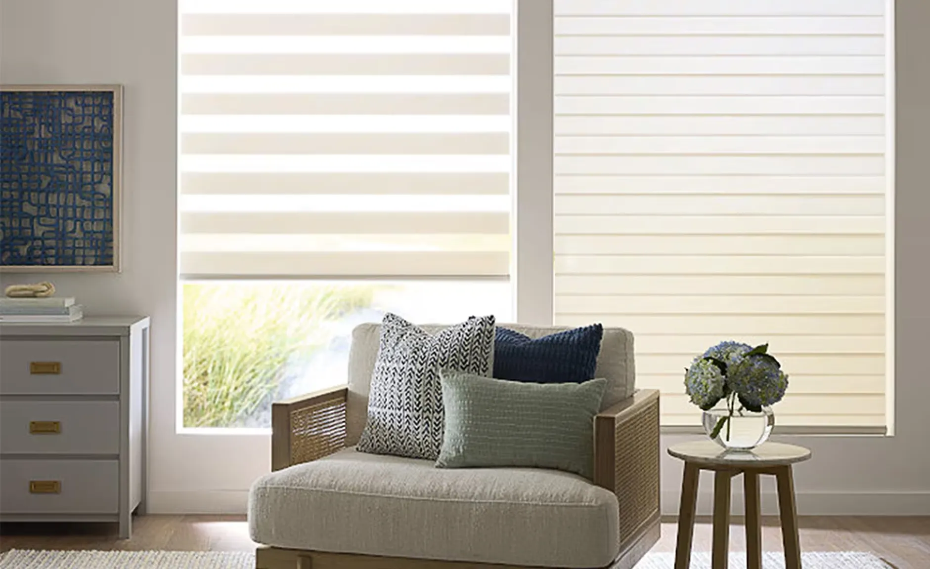 Zebra shades on windows