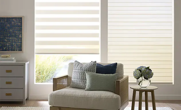 Zebra shades on windows