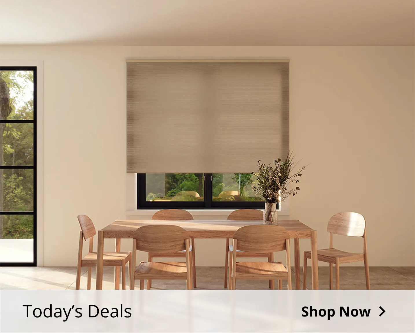 Today's Deals