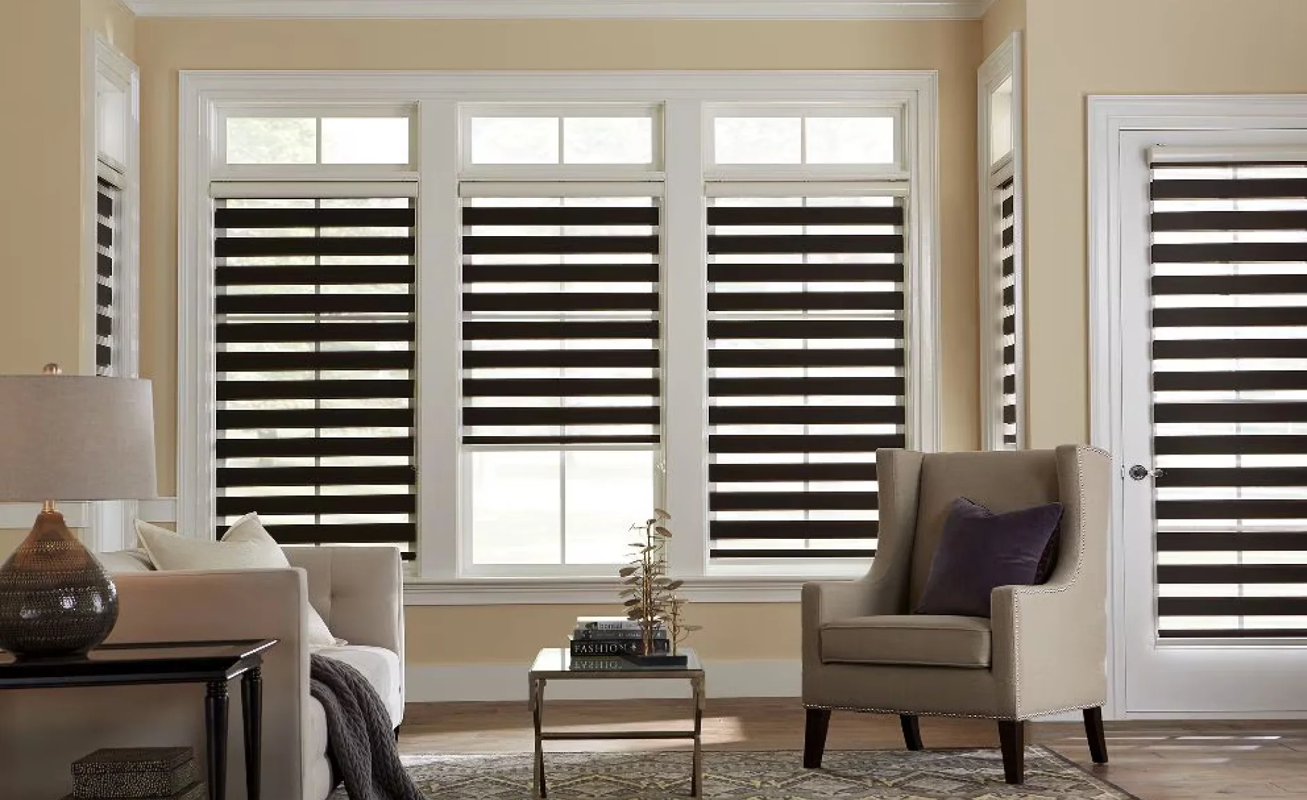 Zebra shades on windows