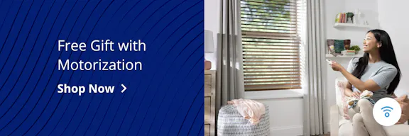 Free Gift with Motorization
