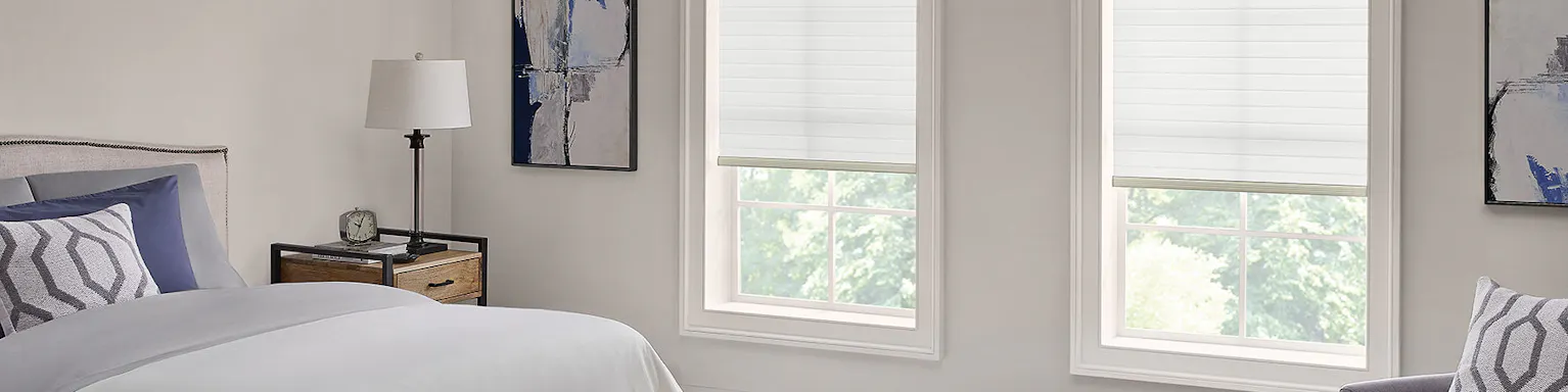 Sheer shades on windows