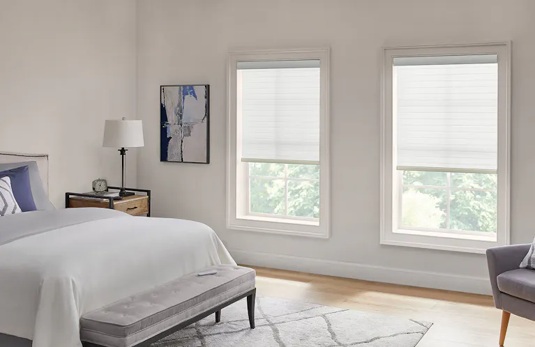 Sheer shades on windows