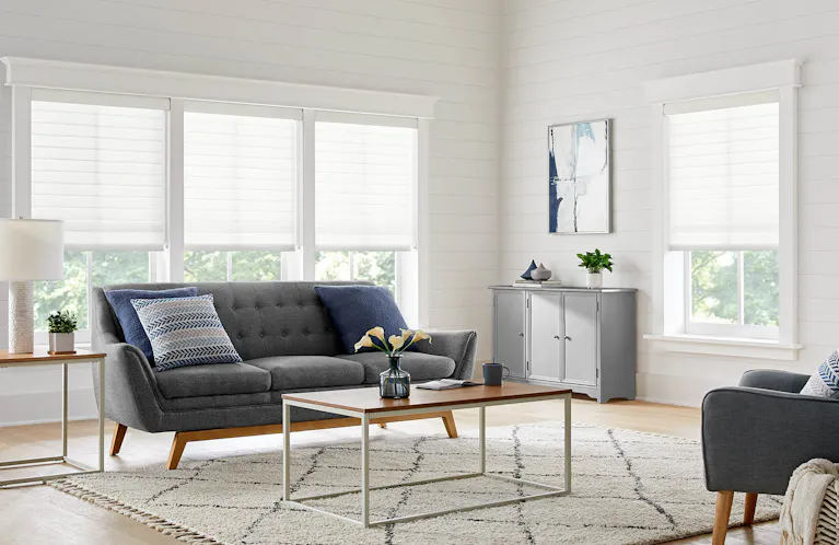 Light filtering shades on windows