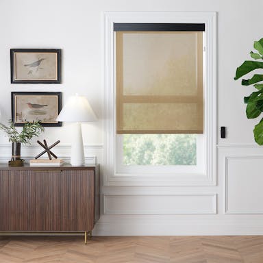 Window with solar shades that filter sunlight while preserving an outdoor view and reducing glare.