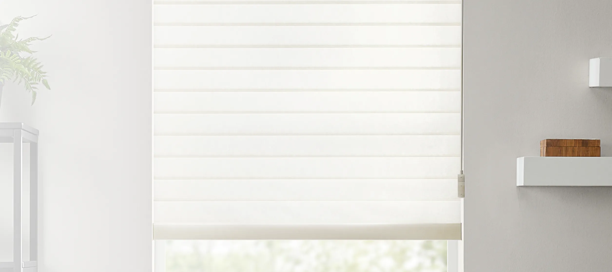 Roller shades on window