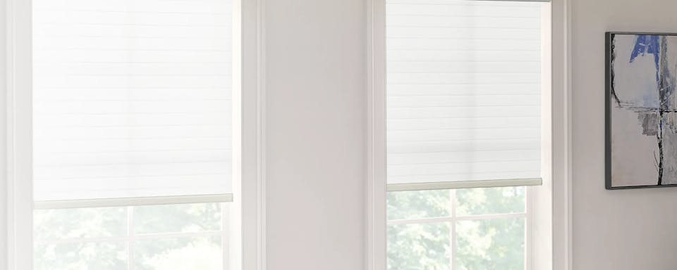 Roller shades on windows