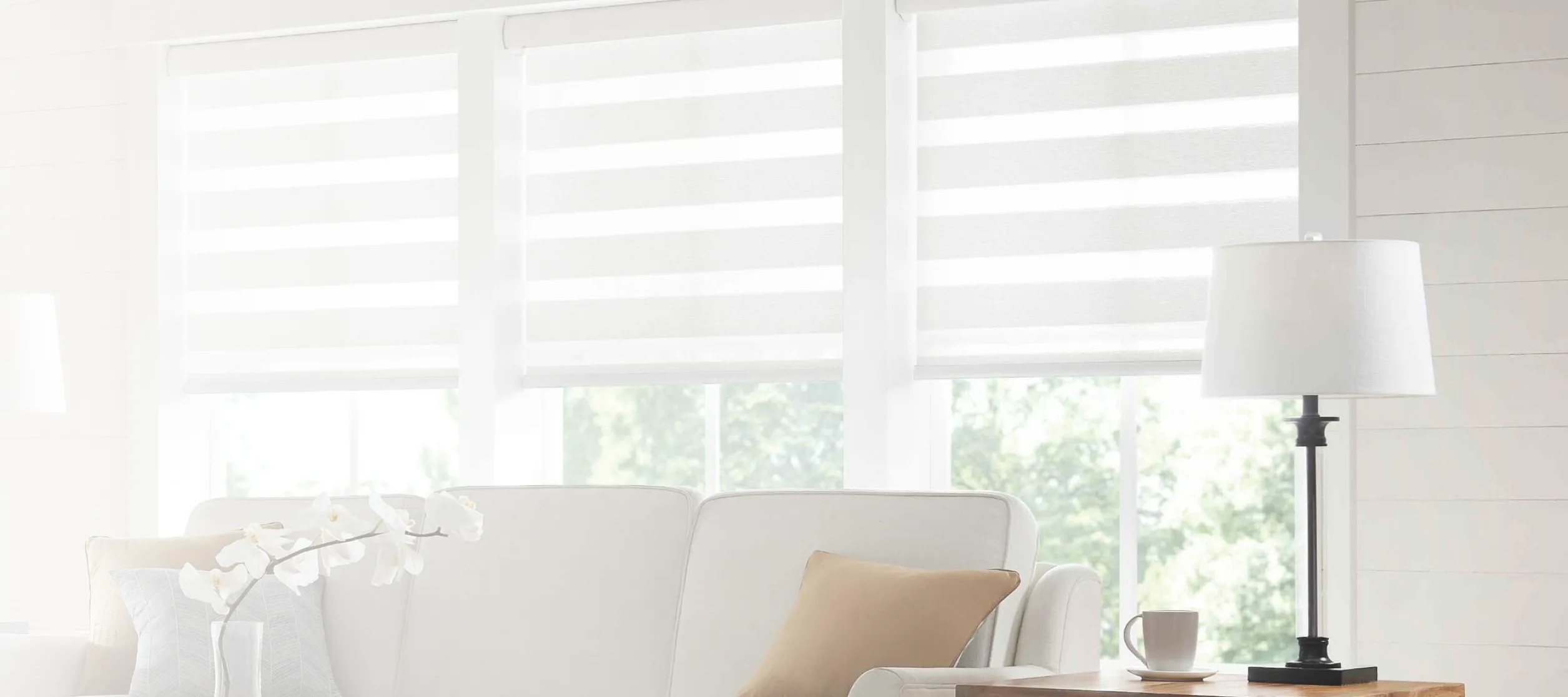 Cellular shades on window