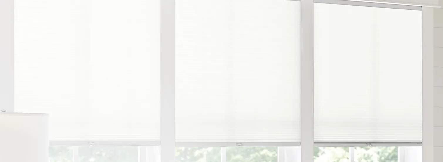 Roller shades on windows