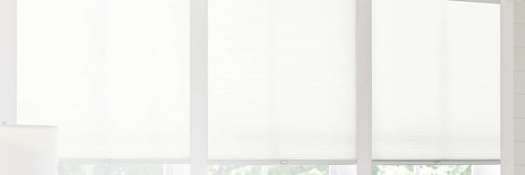 Roller shades on windows