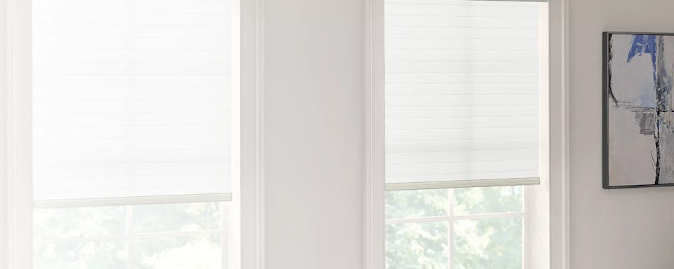 Cellular shades on windows