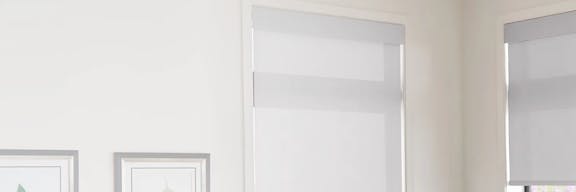 Roller shades on windows