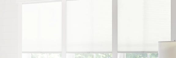 Roller shades on windows