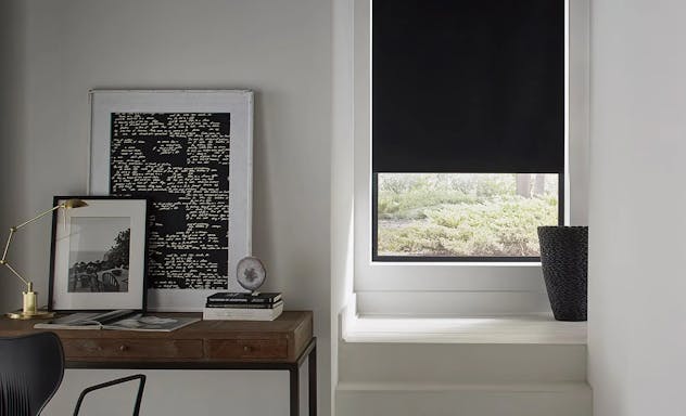 Roller shade on window