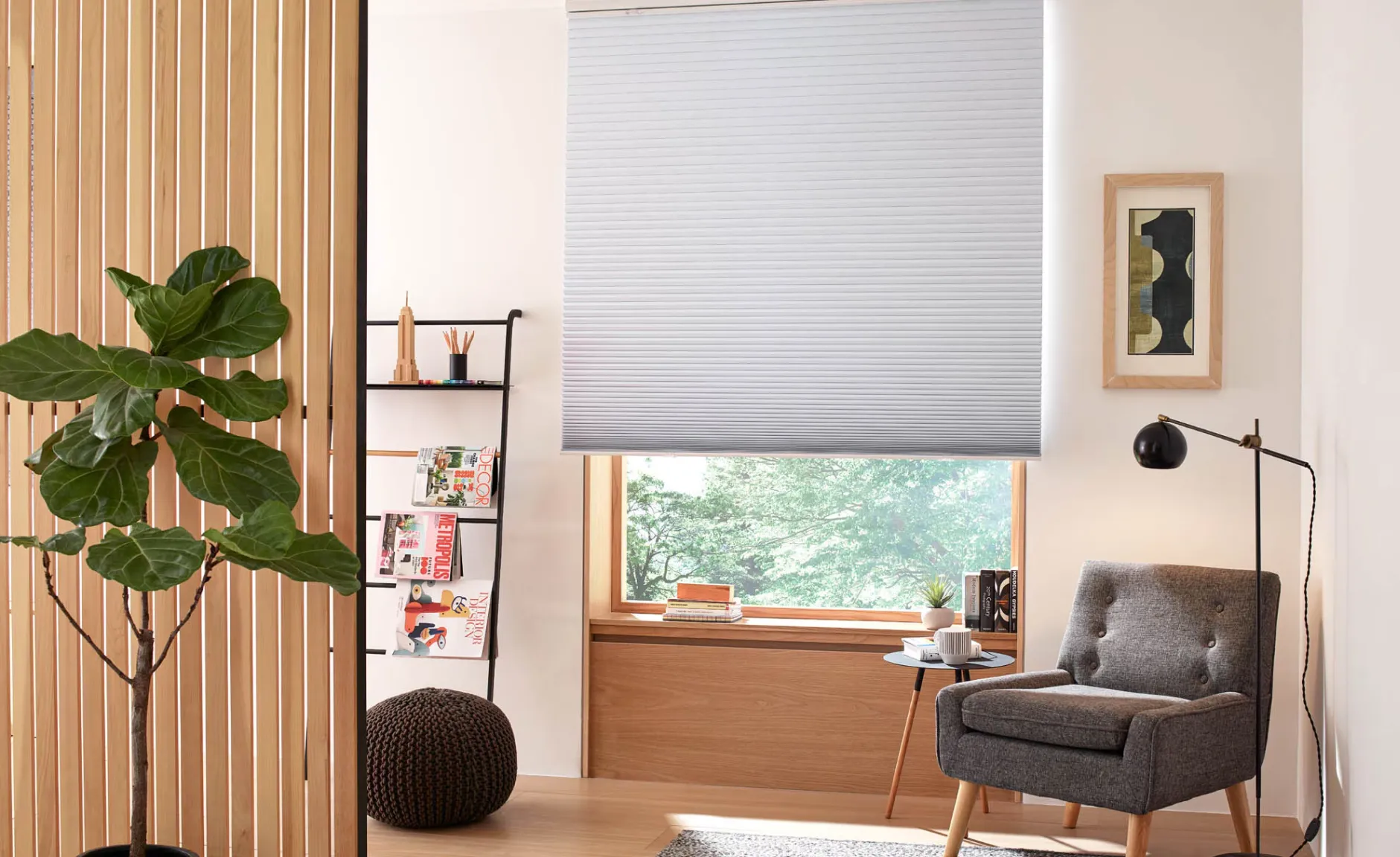 Roller shade on window