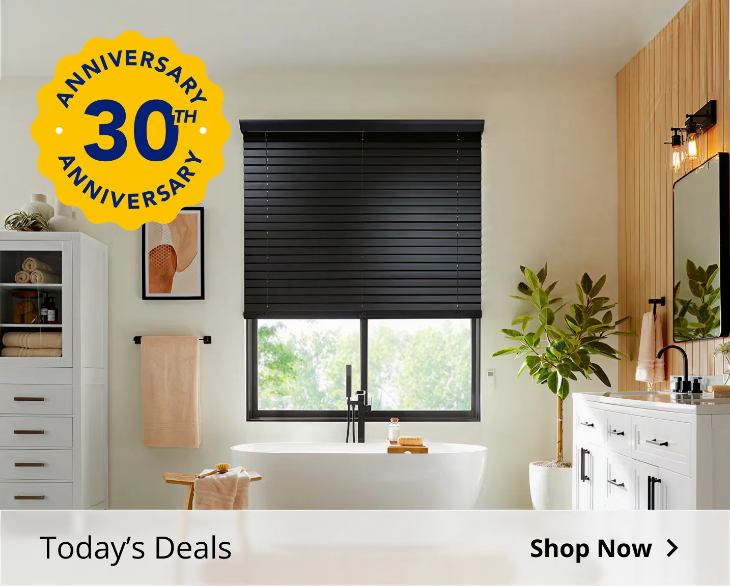 Roller shades on window