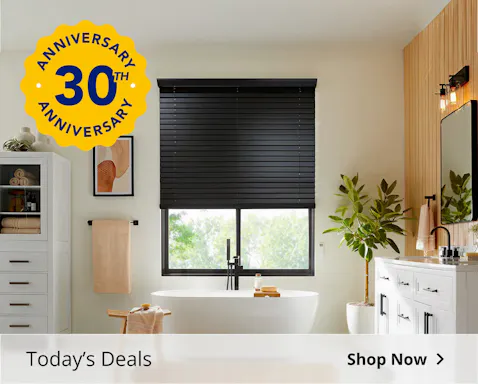 Roller shades on window