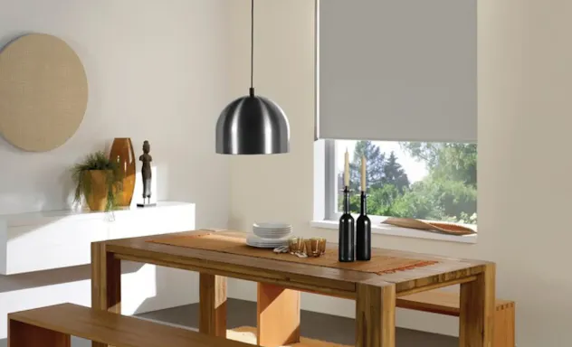 Roller shade on window