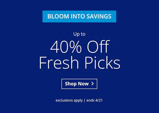 Up to 40% Off Fresh Picks