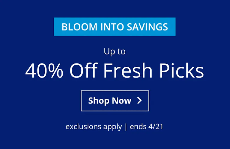 Up to 40% Off Fresh Picks