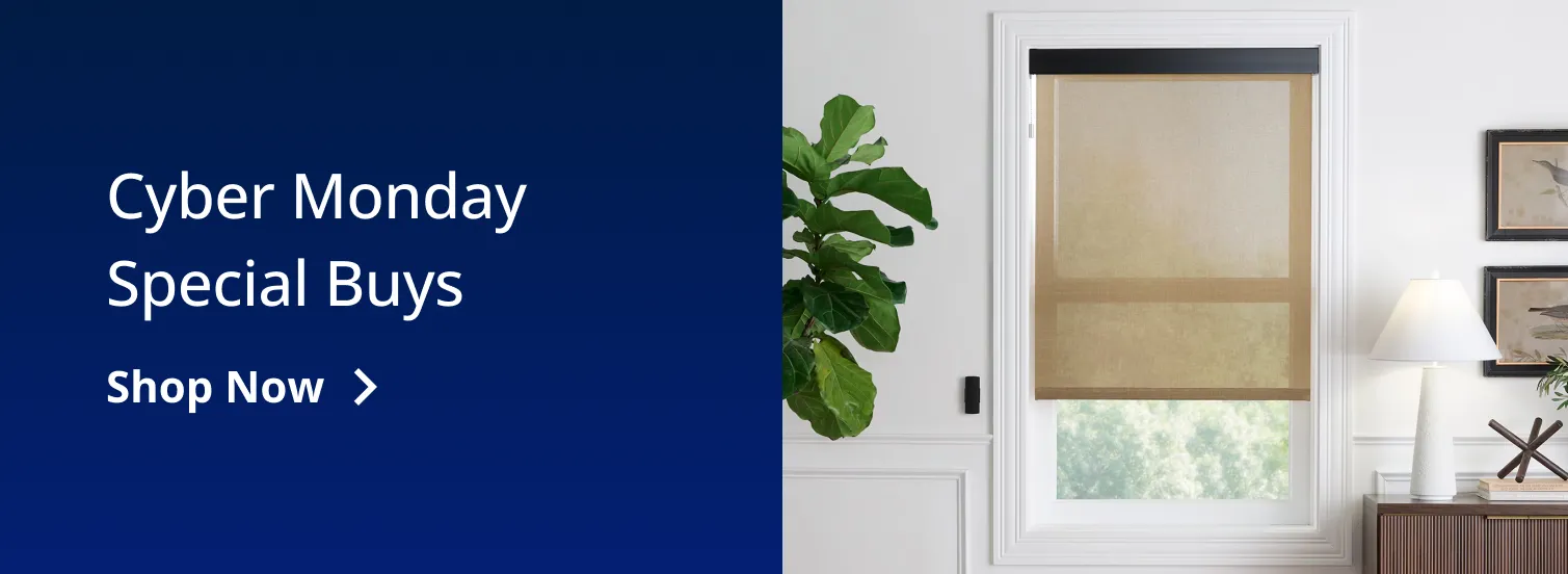 Cyber Monday Special Buys