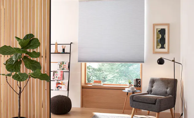 Roller shade on window