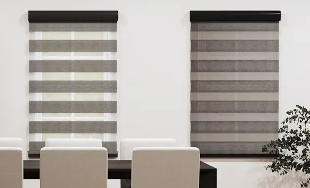 Roller shades on windows