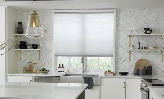 Roller shades on window