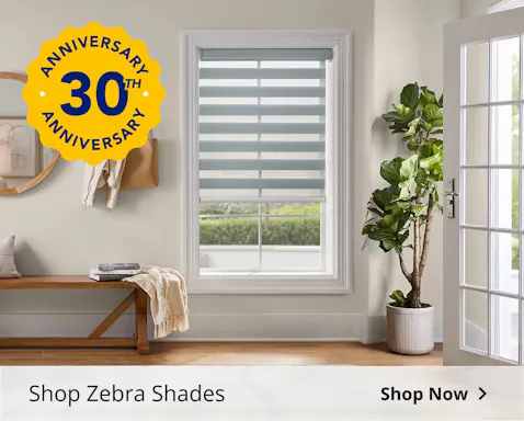 Shop Zebra Shades