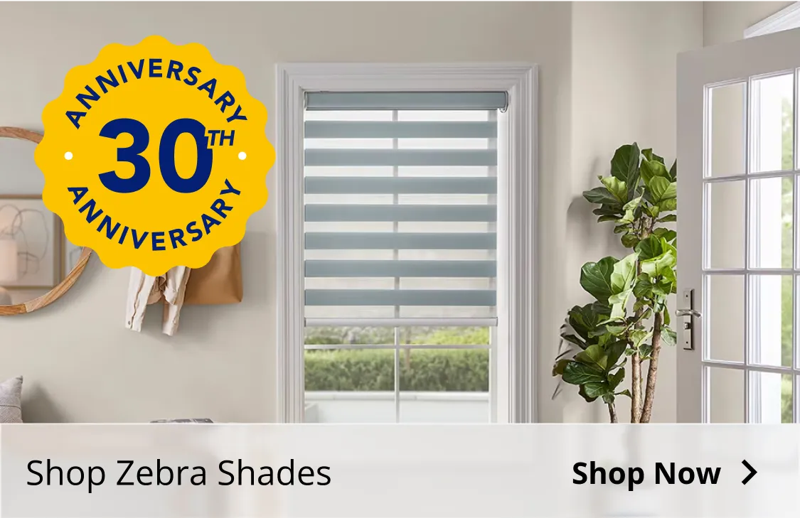 Shop Zebra Shades