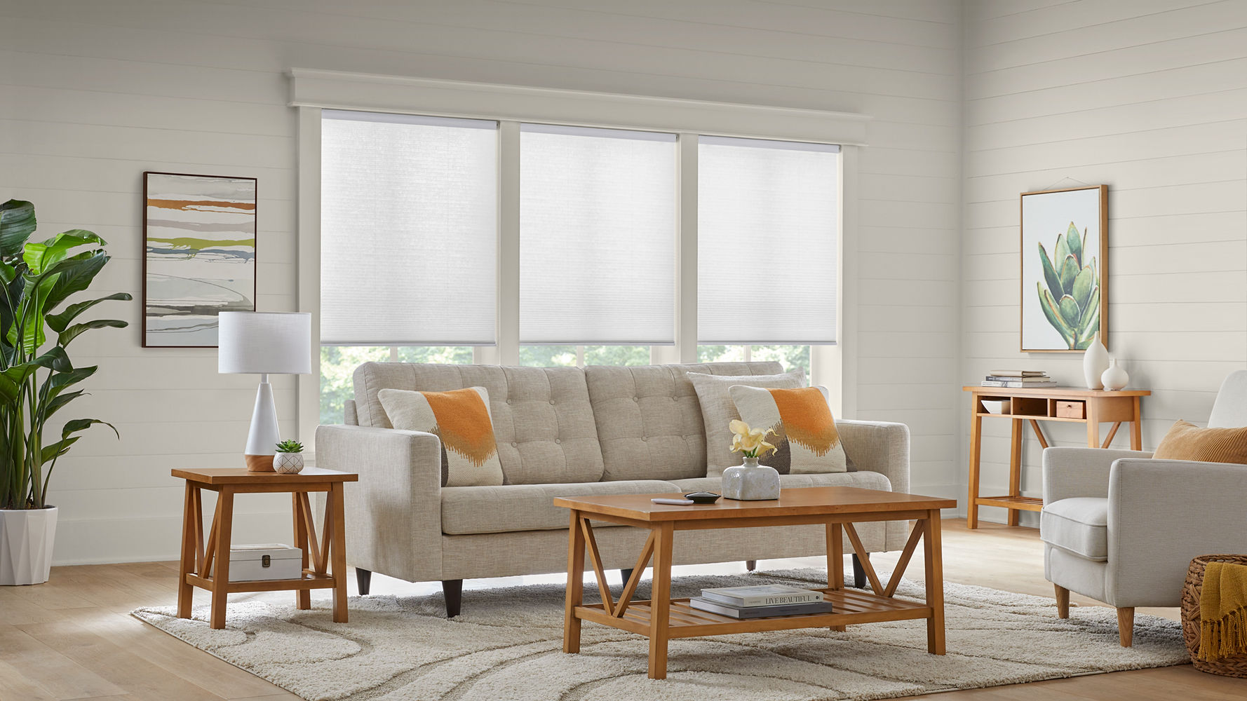 Roller shades on windows