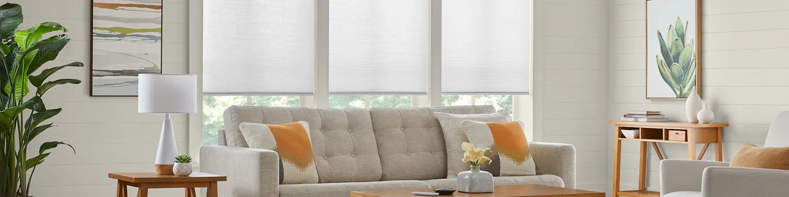 Roller shades on windows