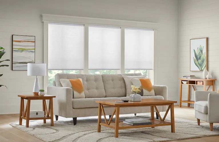 Roller shades on windows