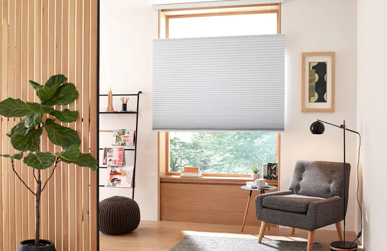 Cell shades on window