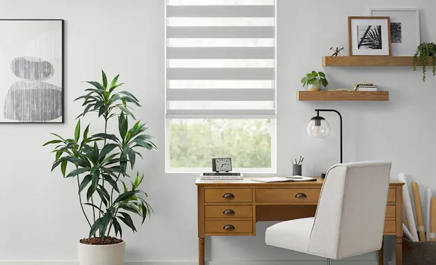 Roller shades on window