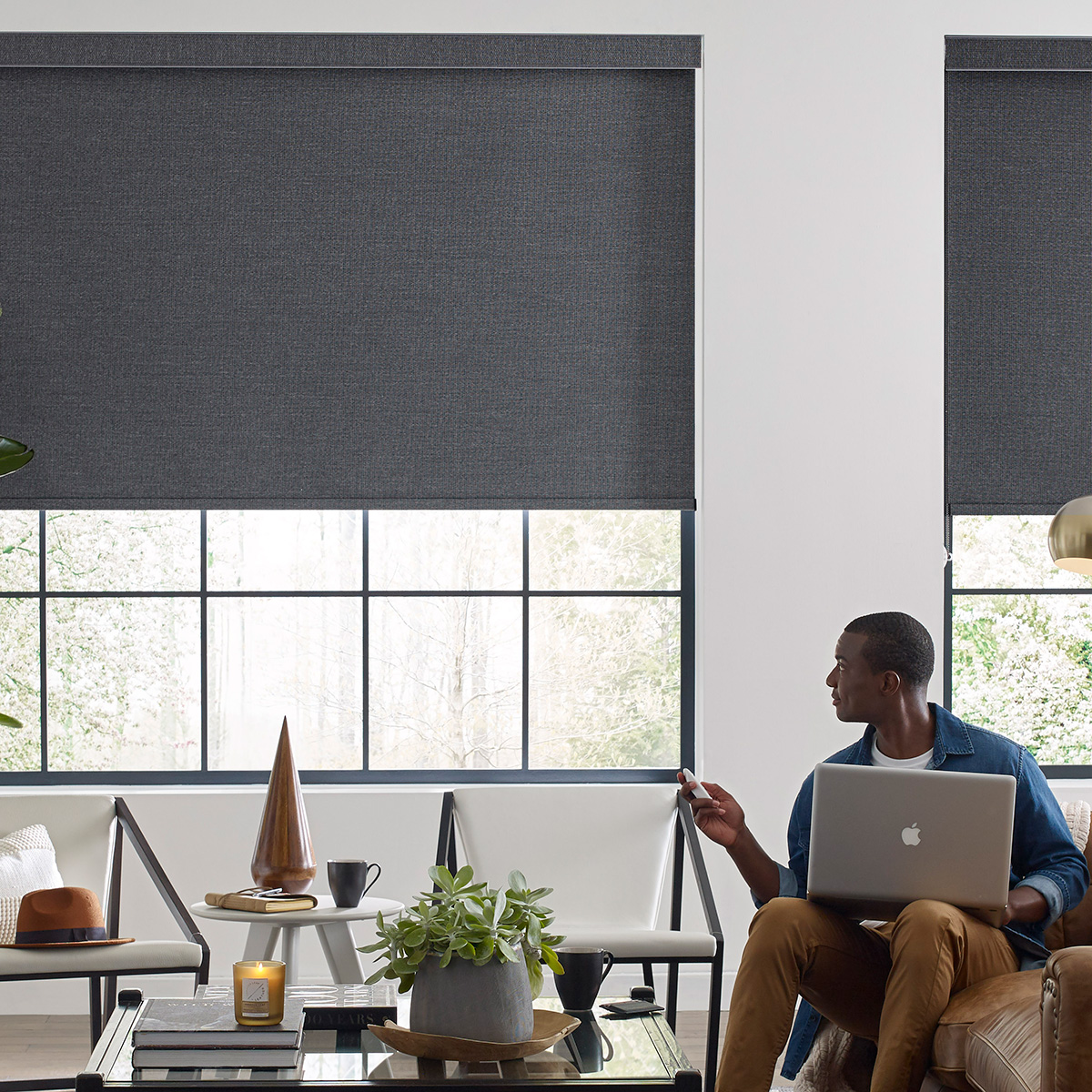 Shop Custom Levolor Brand Blinds & Shades - Blinds.com