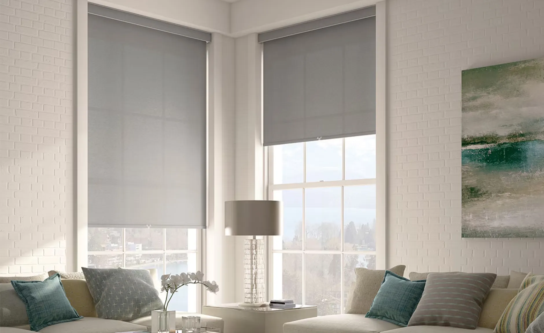 Roller shades on windows