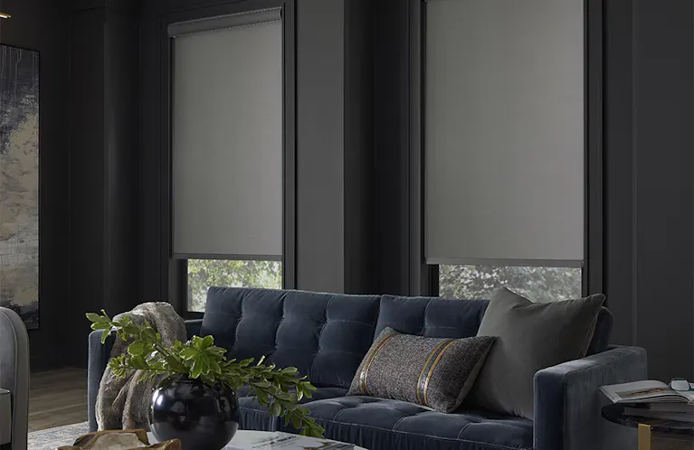 Roller shades on windows