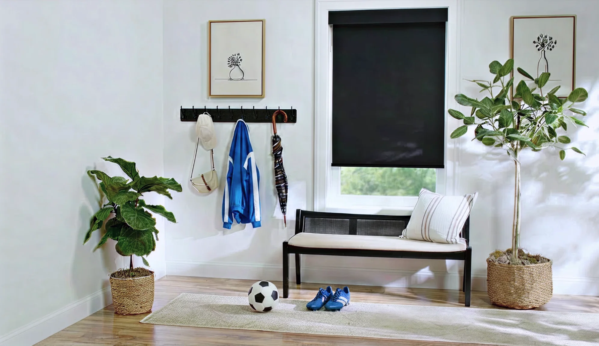 Roller shade on window
